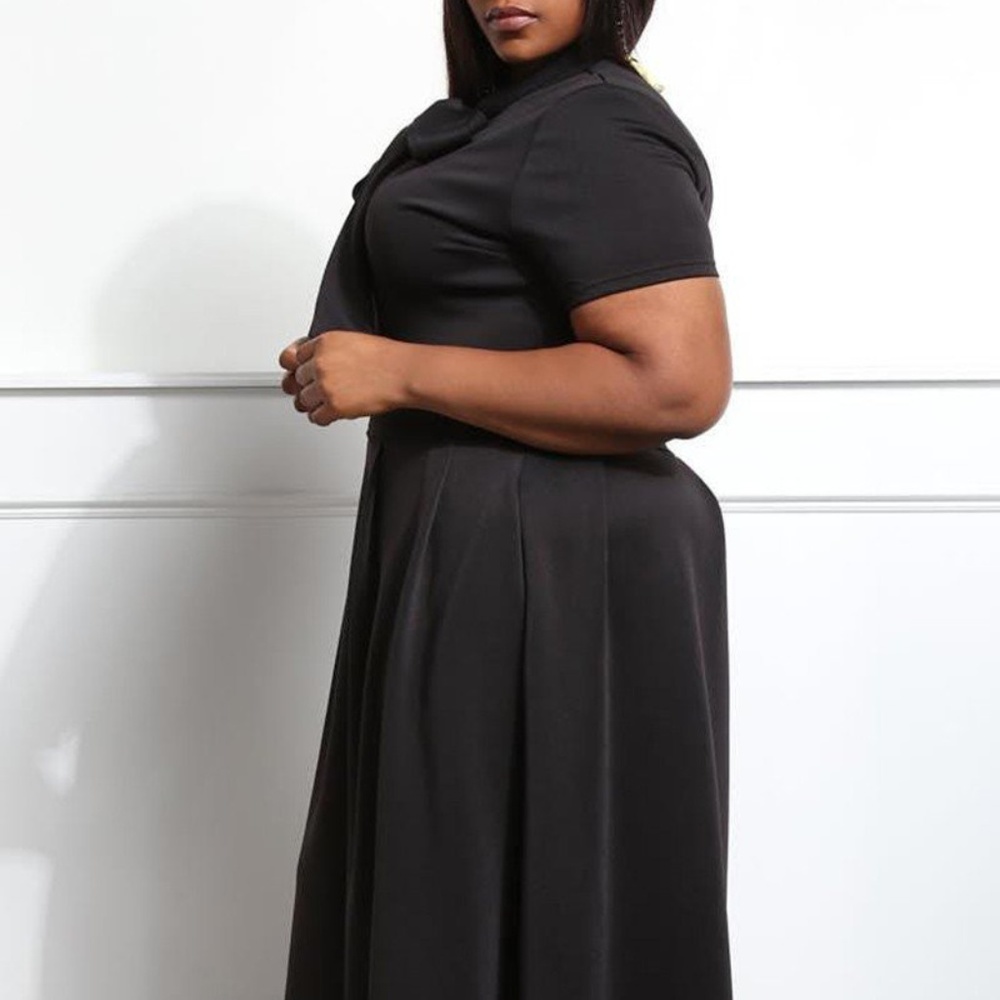 Tie Neck Fit and Flare Midi Dress - Picture 4 of 7